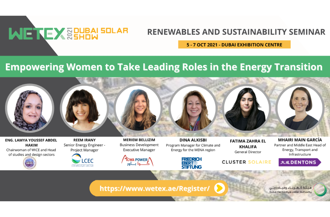 Wetex Solar Dubai Renewables and Sustainability Seminar